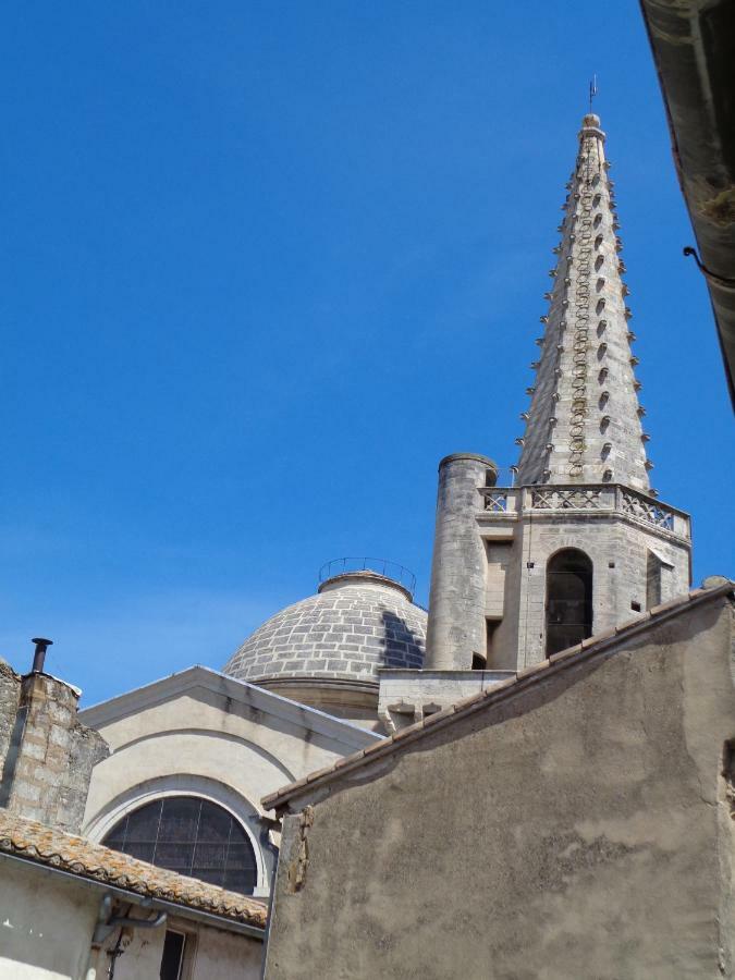 Le Lapin Blanc Daire Saint-Rémy-de-Provence Dış mekan fotoğraf