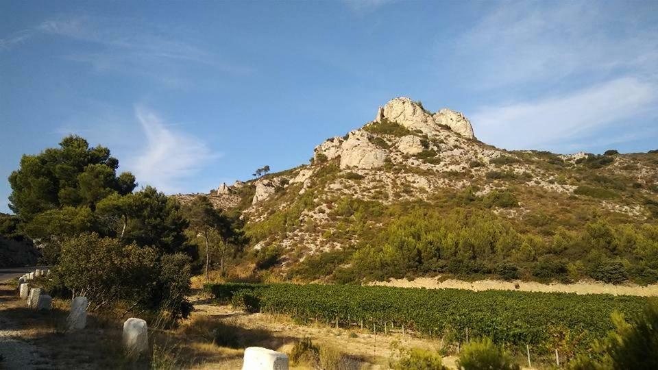 Le Lapin Blanc Daire Saint-Rémy-de-Provence Dış mekan fotoğraf