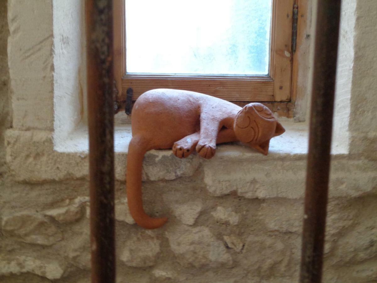 Le Lapin Blanc Daire Saint-Rémy-de-Provence Dış mekan fotoğraf